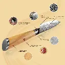 Couteau d’Office – Acier damassé 67 couches avec noyau AUS-10 – Manche élégant en bois d’olivier – Tranchant rasoir, dureté 60±2 HRC – Design ergonomique et haut de gamme